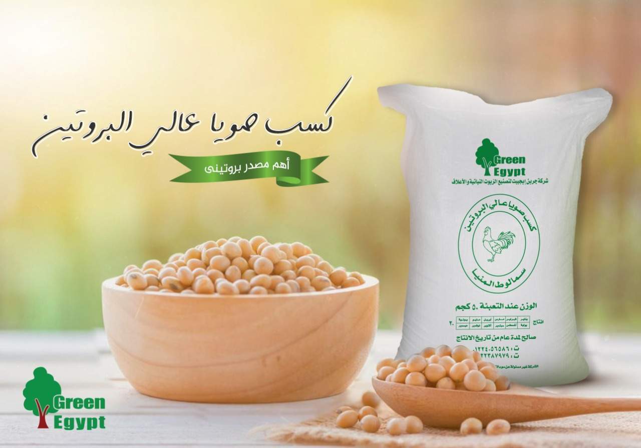 الرئيسية جرين ايجيبت