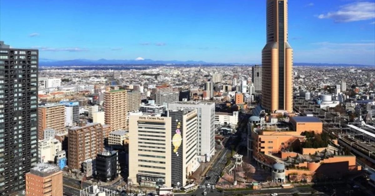 From Saitama City to Shizuoka for the Ideal Tree House We introduce