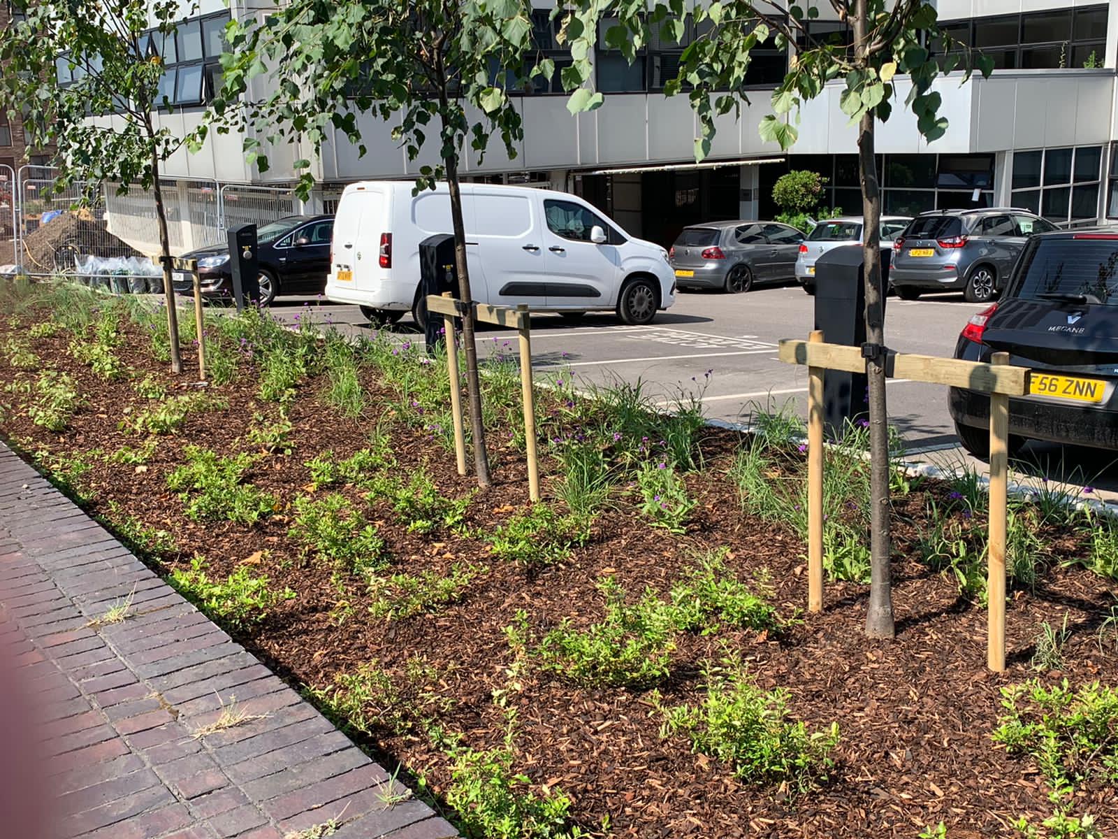 Soft Landscaping at Bovis House Pritchard & Pritchard