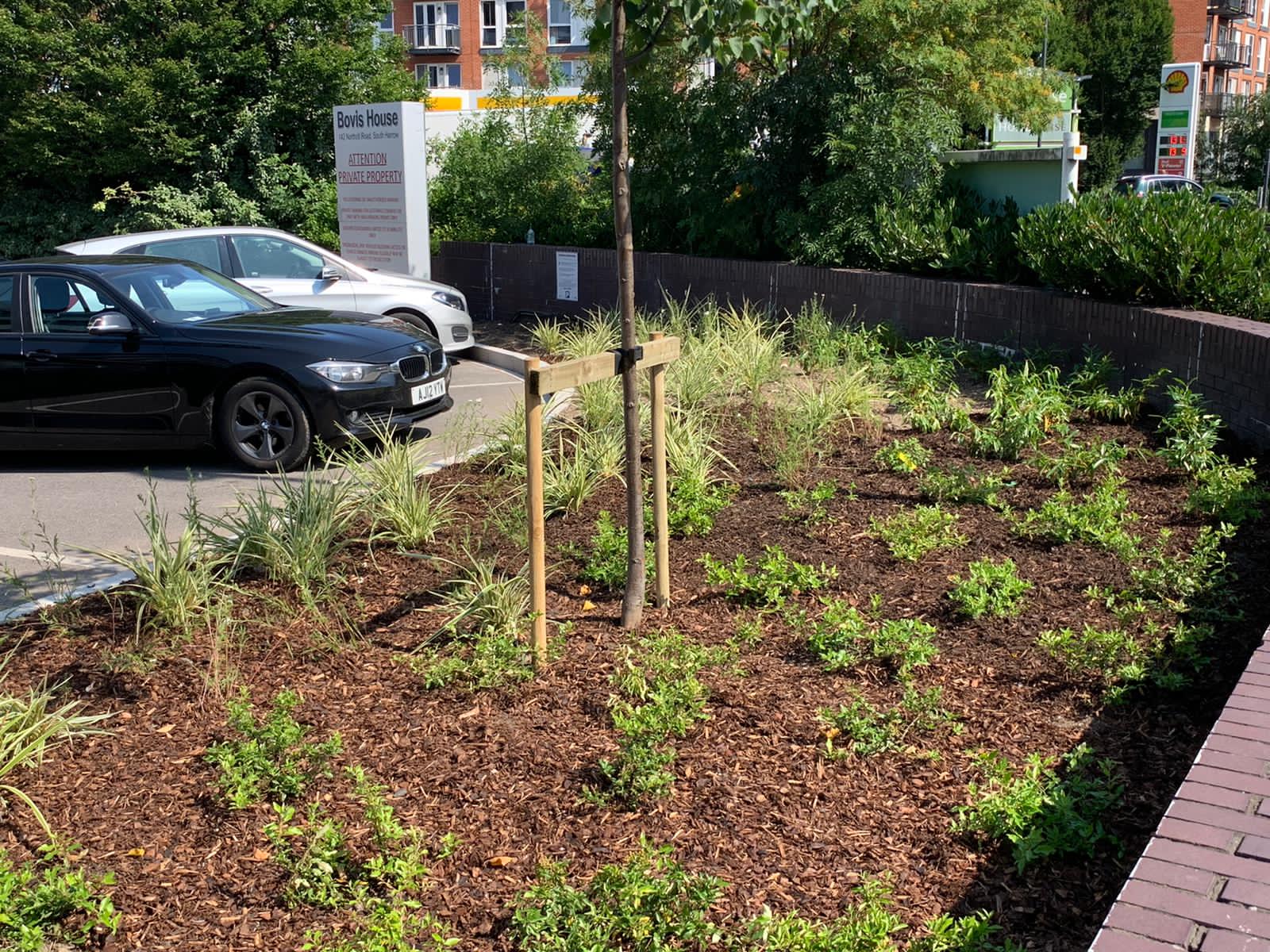 Soft Landscaping at Bovis House Pritchard & Pritchard
