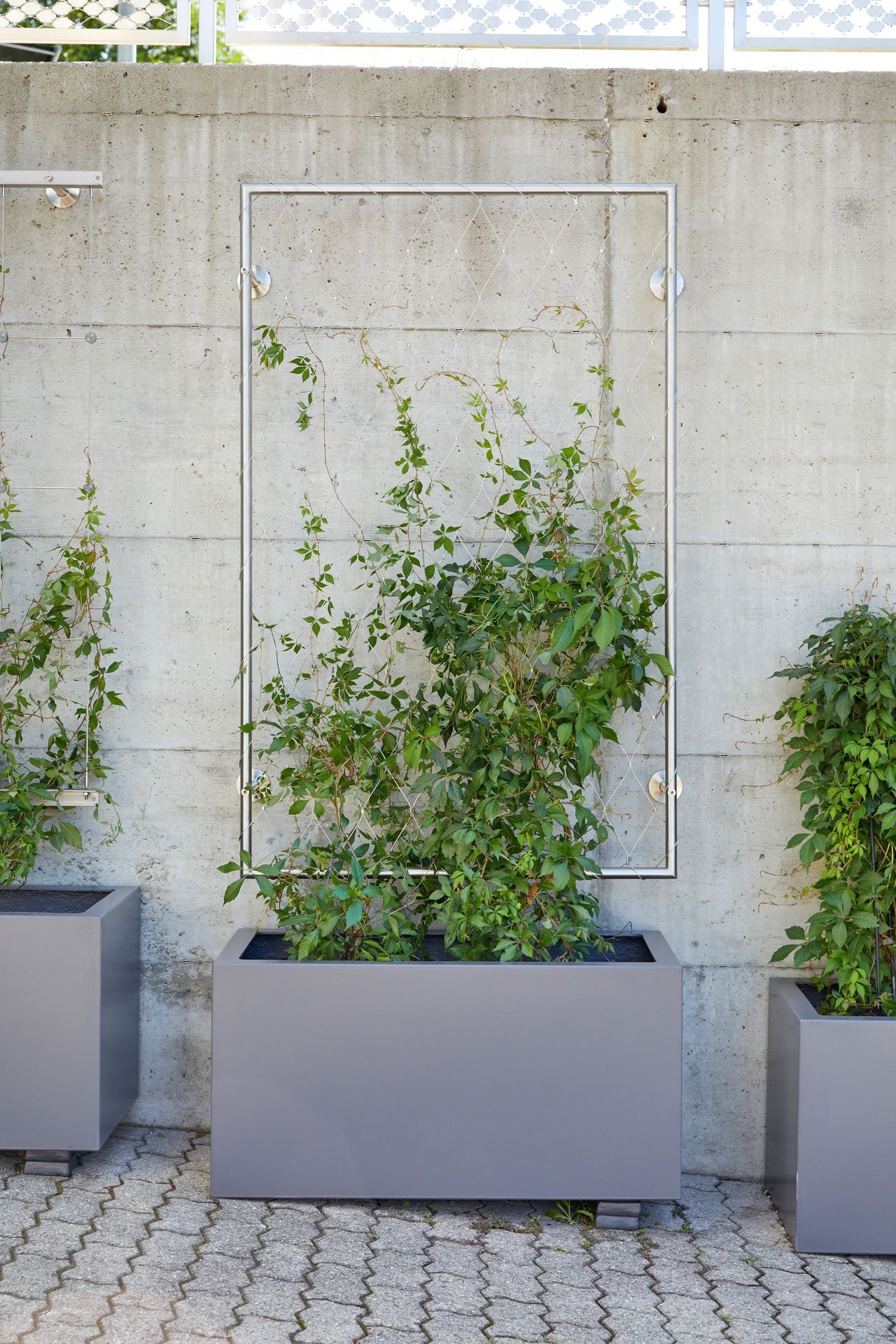 Shop Home Green Walls UK