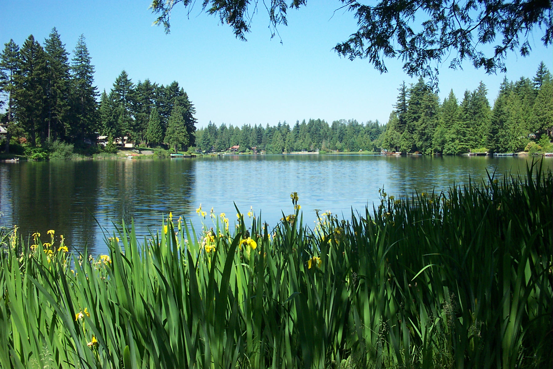 Lake Information Page King County