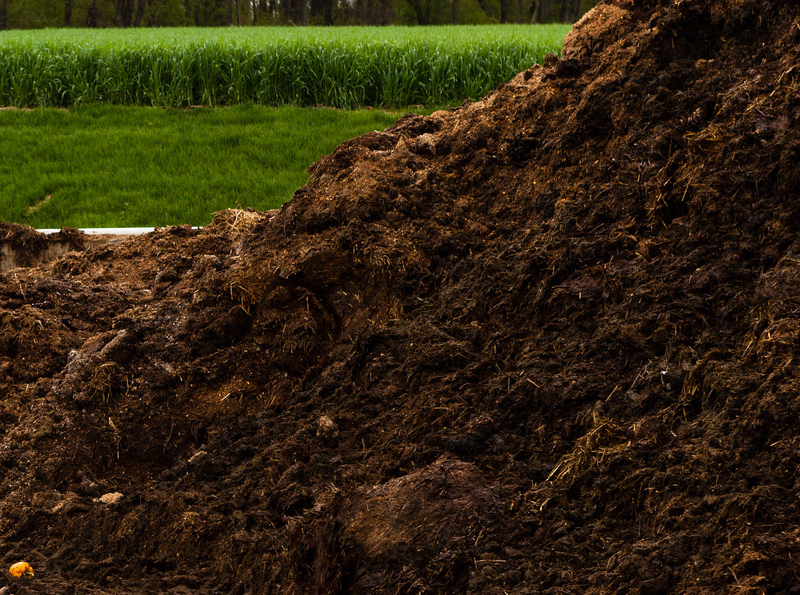 Lawrence wood chip & compost sale Greenability Magazine