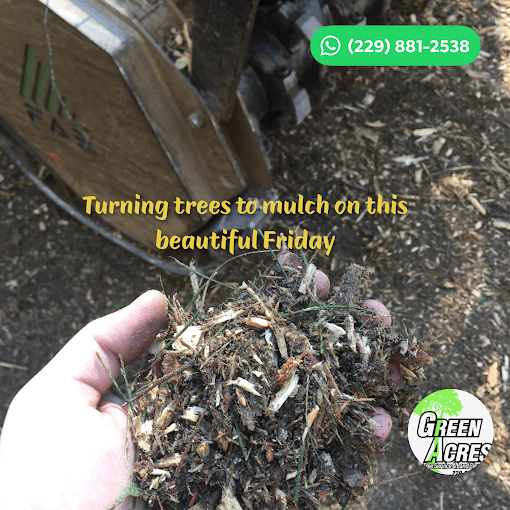 Land Clearing Albany GA Green Acres Tree Service