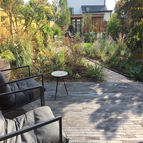 Garden design, East Molesey, Surrey. Wildlife planting,