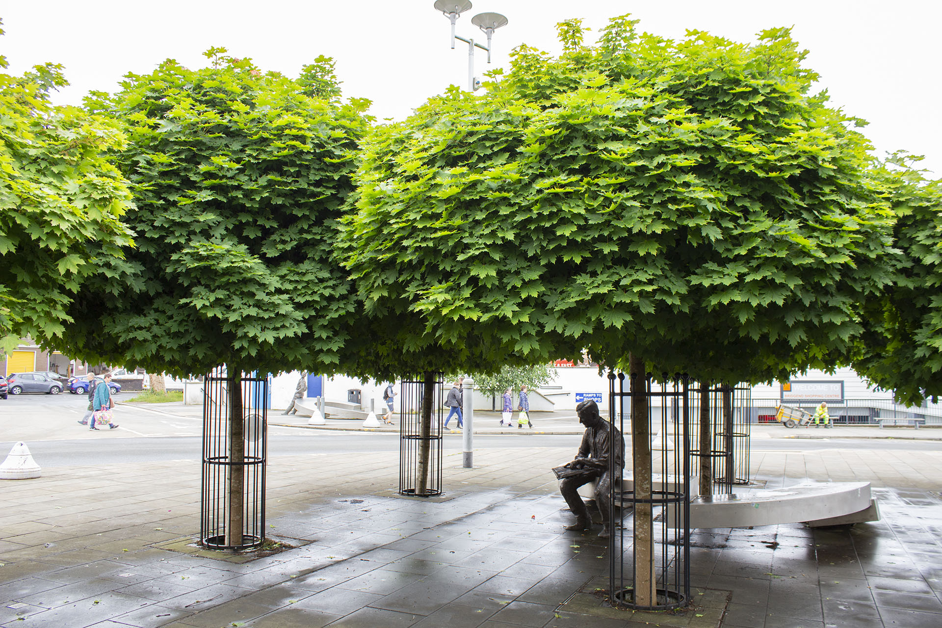 Urban Tree Planting Projects GreenBlue Urban