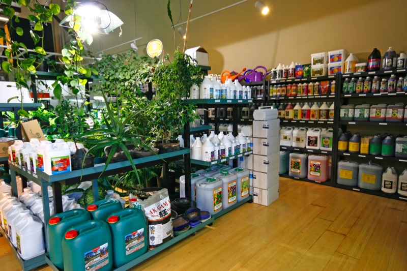 Northern Lights Bellingham WA 98226 Hydroponic Grow Shops & Garden