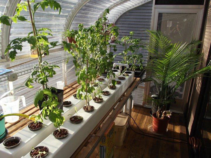 Indoor Garden And Lighting Preston WA Hydroponic Grow Shops & Garden
