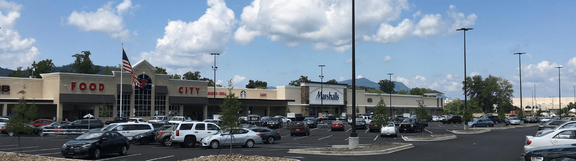 LEASED Retail Pigeon TN Greenbrier