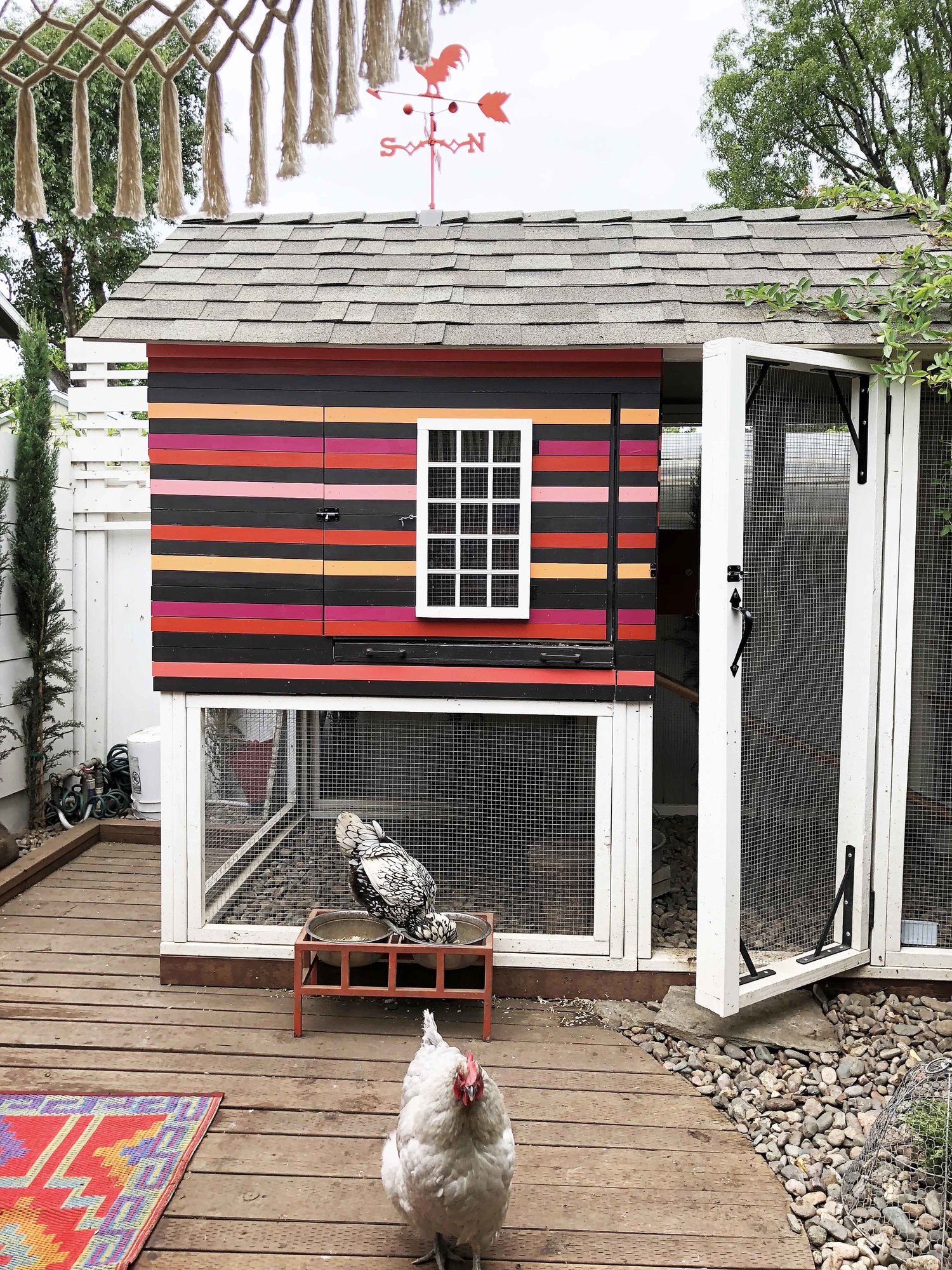 11 Free Chicken Coop Plans & Ideas You Can Easily DIY