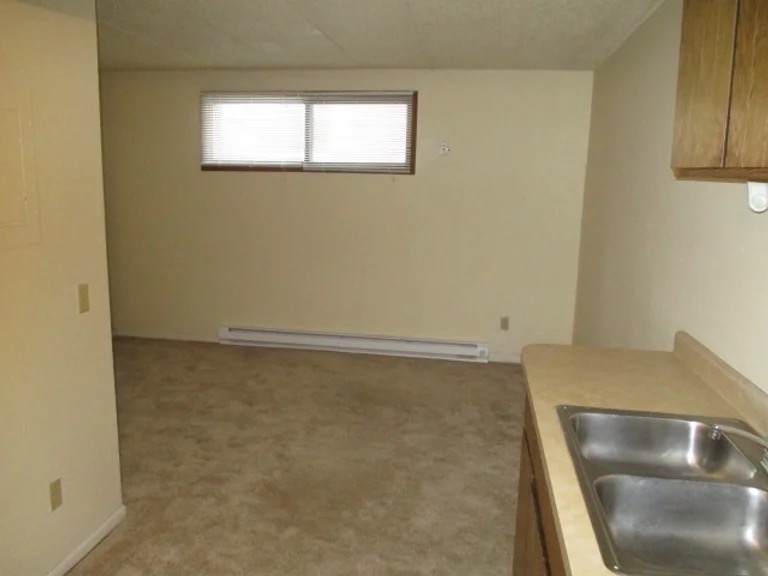 UW Madison Apartments for Rent 219 N Frances St. On Campus