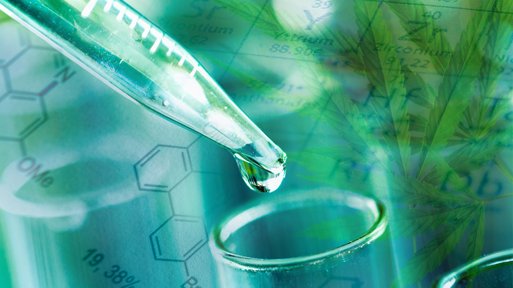 THCdetecting breathalyzer could be gamechanger in quest to ensure