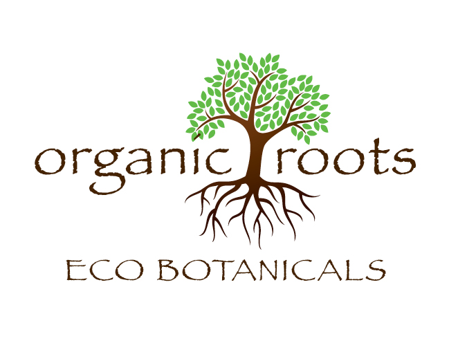 Organic Roots Eco Salon Green Circle Salons