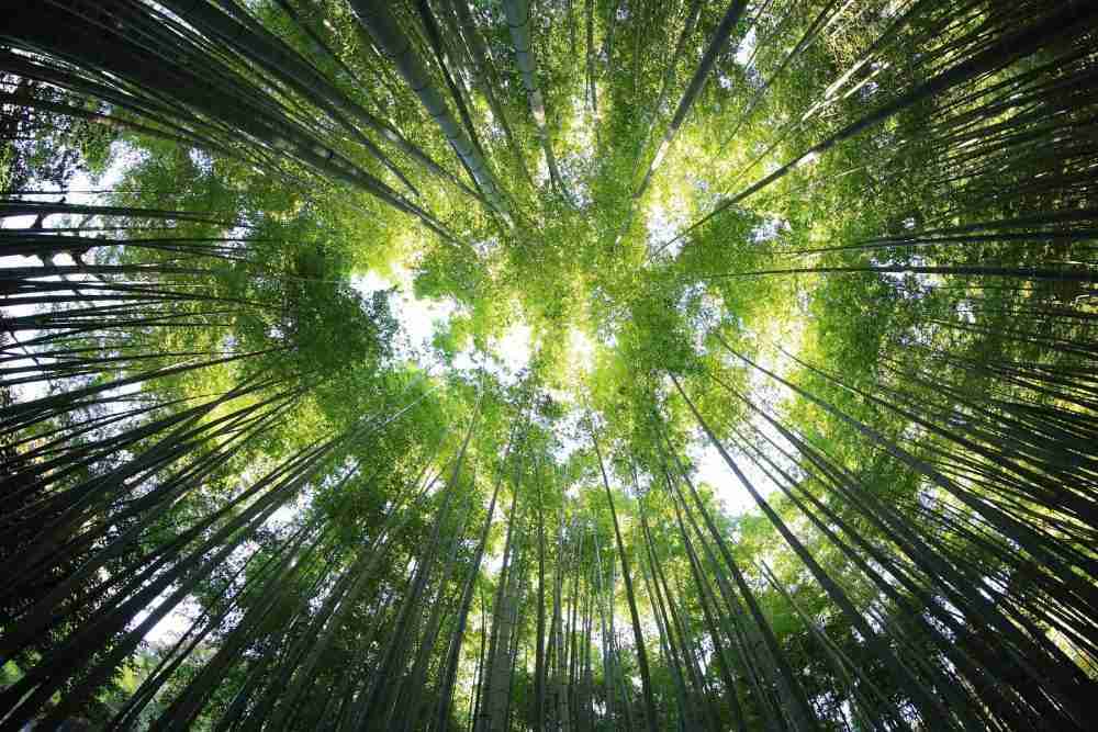 Green Brokers Green Communities
