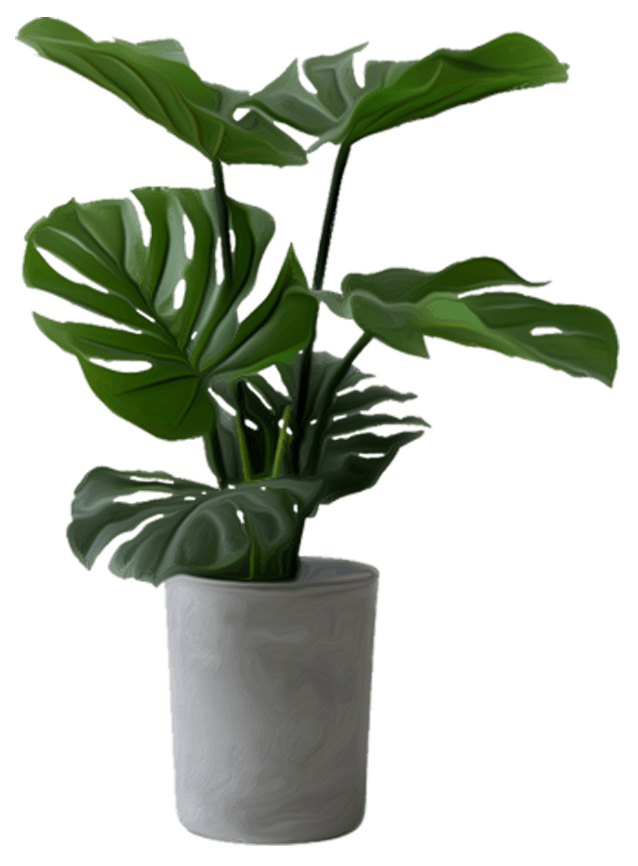 Accueil Green Corner