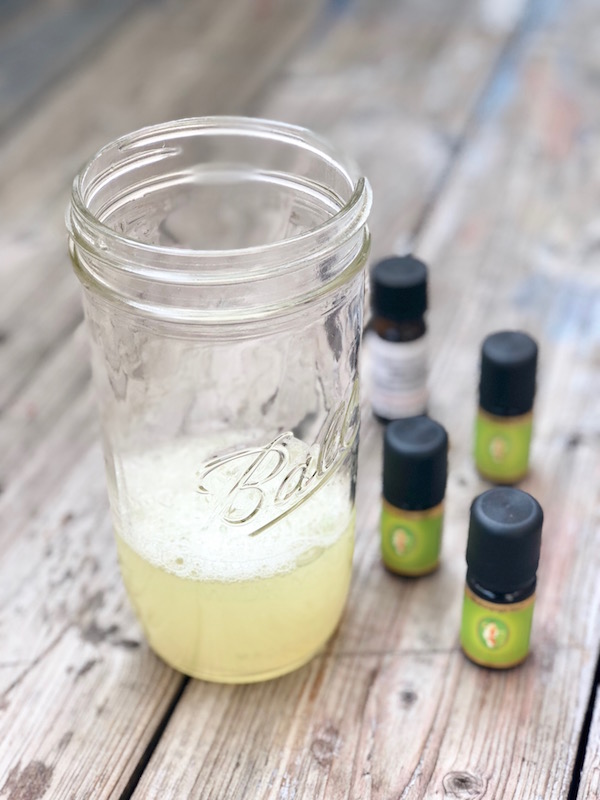 Zero Waste Laundry Detergent with Horse Chestnuts Greenderella