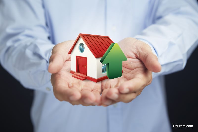 Top Renewable Energy Options for Your Home in 2019