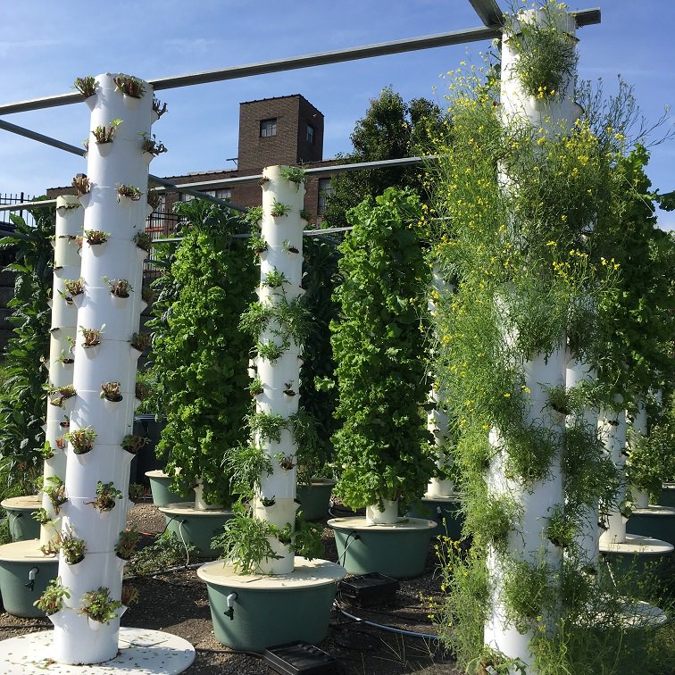 Farm Photo Tour Part I Green Dining Alliance