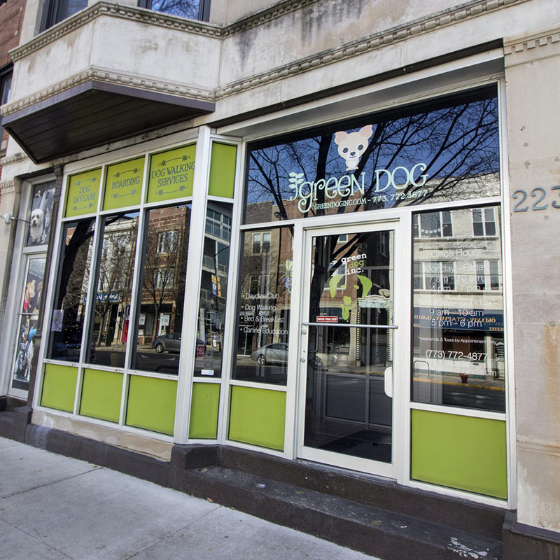 Best dog boarding Chicago Earth friendly loving daycare Green Dog Inc