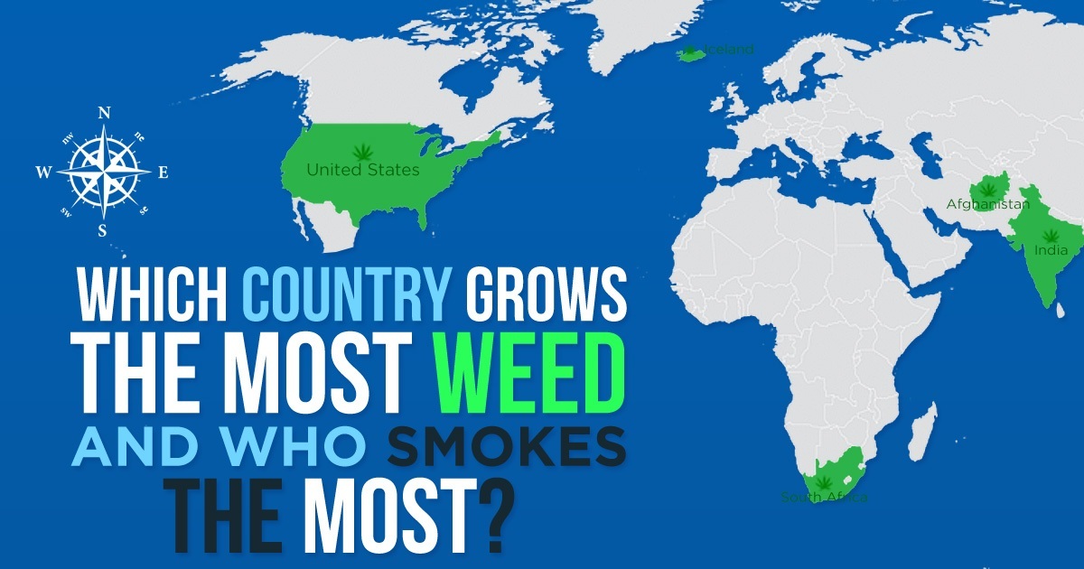 Revealed The Countries Who Grow the Most Weed and Those Who Smoke the