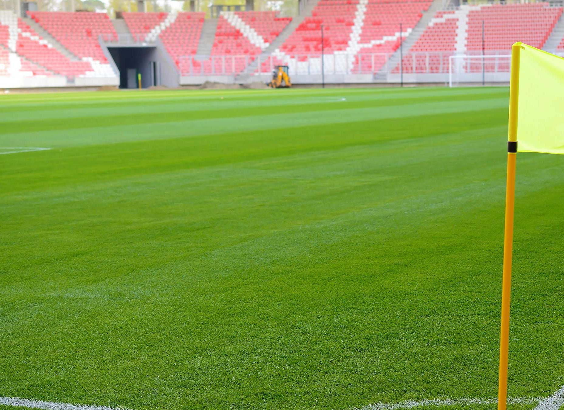 Services Green Dream