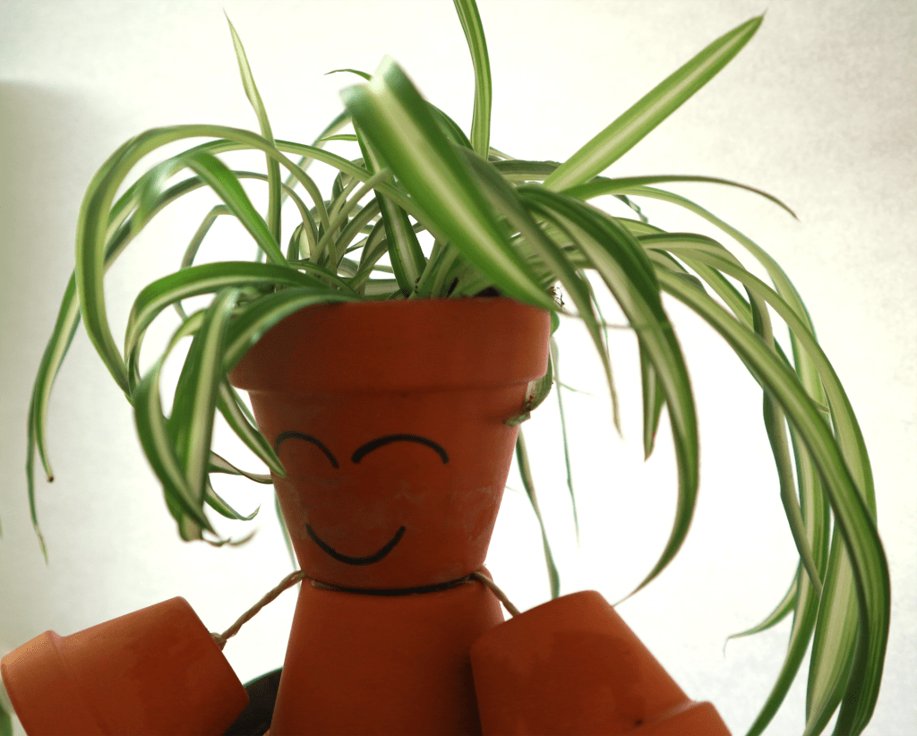 DIY Tontöpfe Greendroid