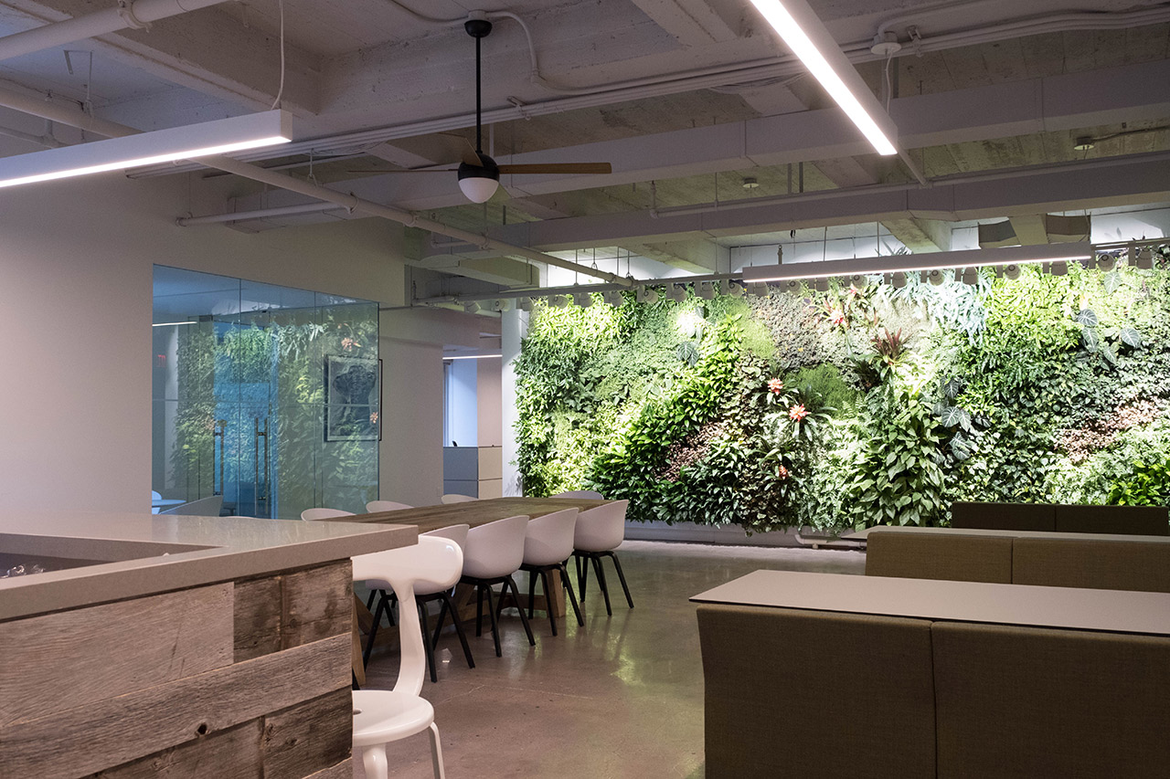 Pure Growth EcoWalls