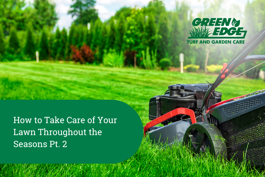 How to take care of your lawn throughout all four seasons Part 2