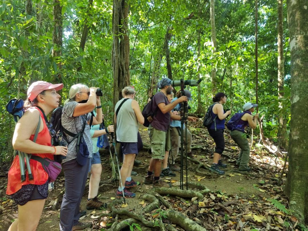 Choosing Your Hiking Shoes for Costa Rica Green Edventures Eco Tours