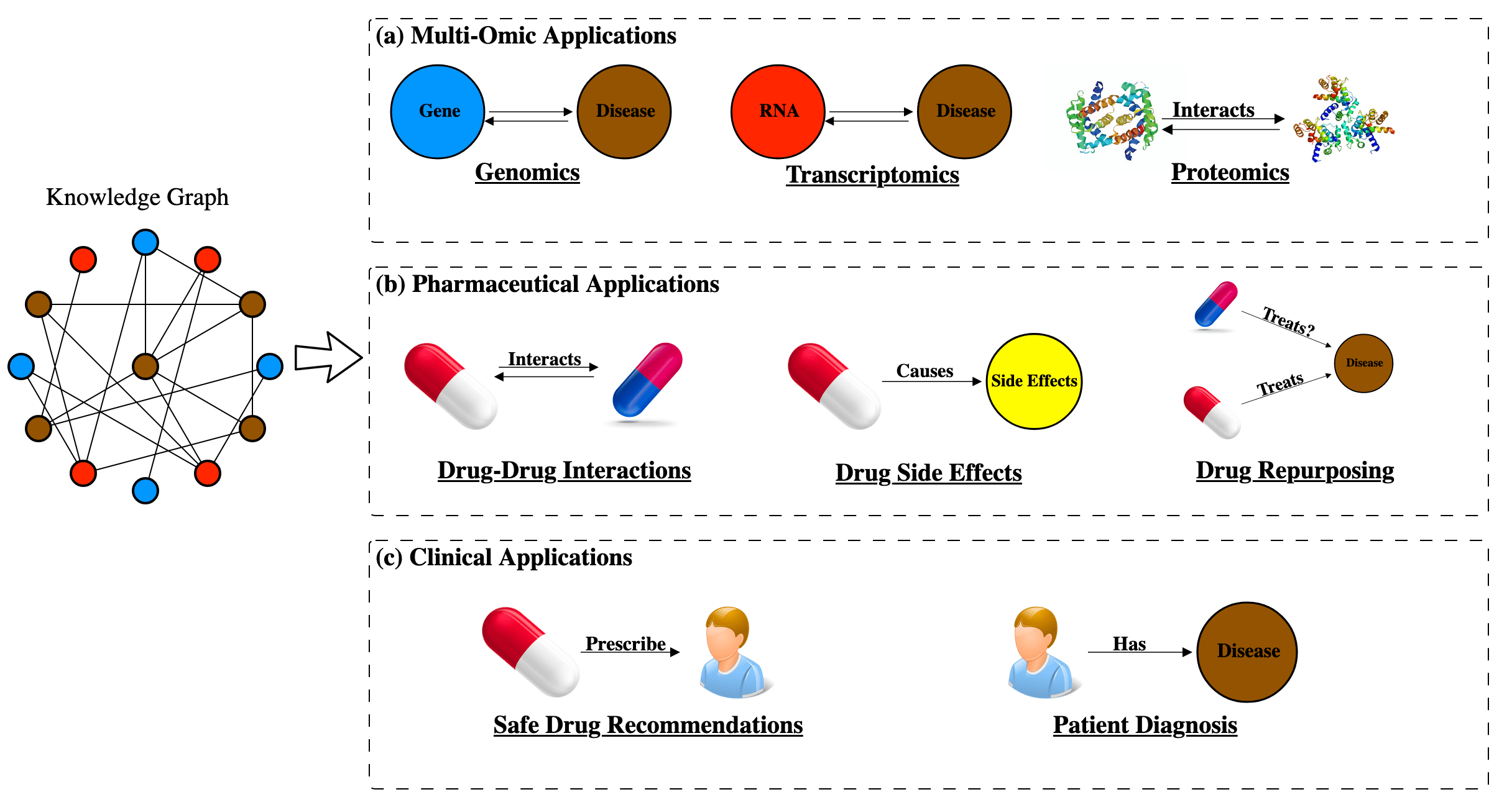 Constructing Knowledge Graphs and Their Biomedical Applications
