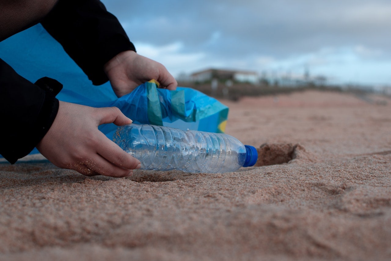 Plastic Pollution Is Killing Our Here's What You Can Do to Help Greener Ideal