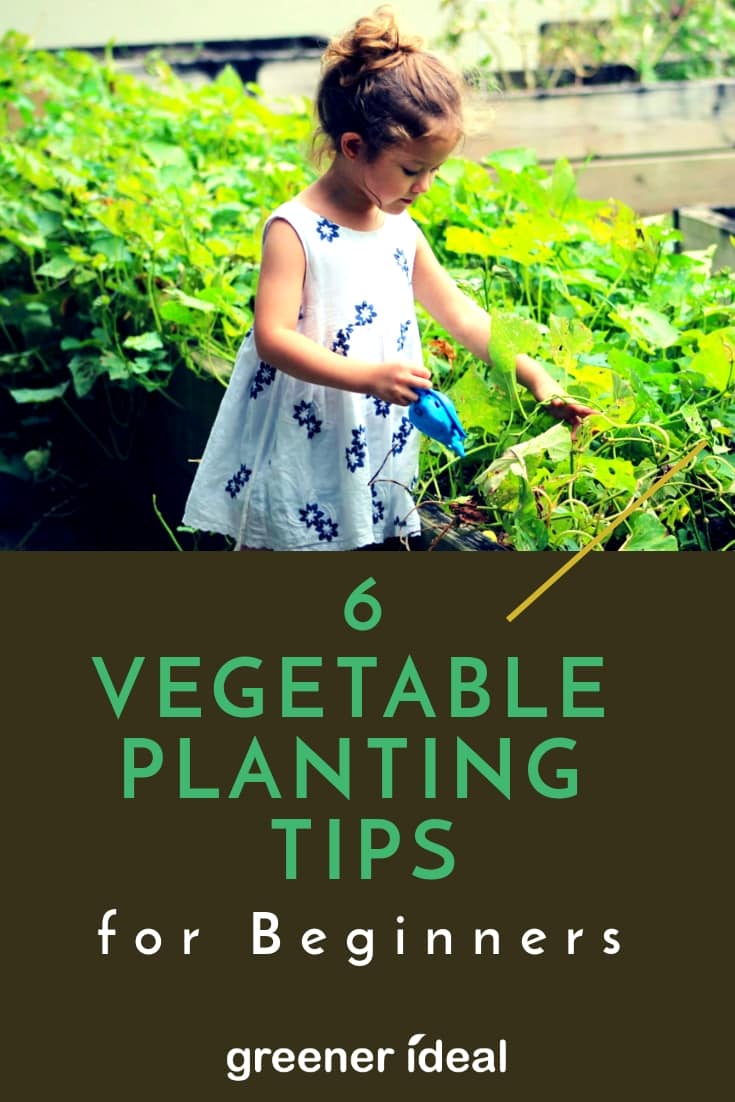 6 Vegetable Planting Tips for Beginners Greener Ideal