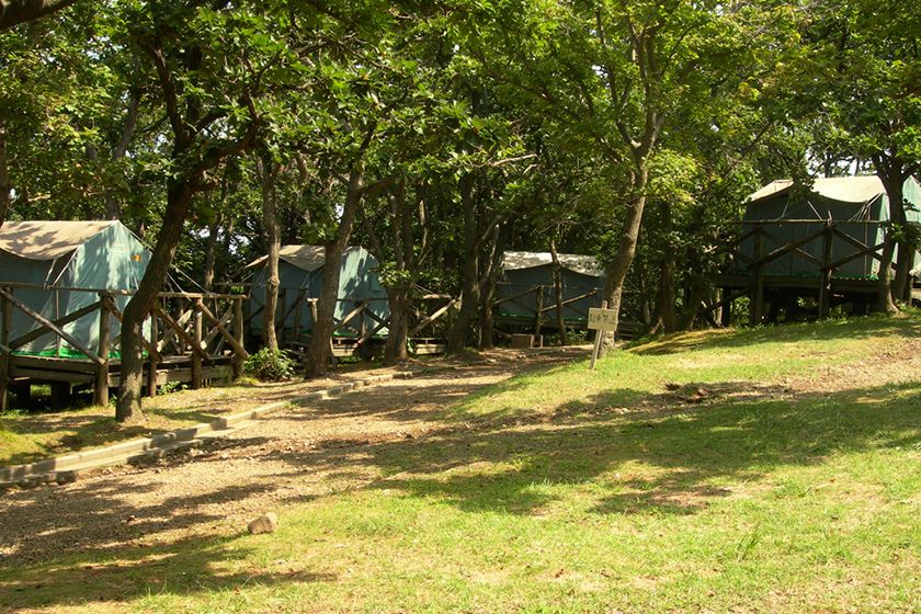 佐渡島1周「サドイチ」！キャンプ場を使ってツーリングを満喫！ Greenfield｜グリーンフィールド アウトドア＆スポーツ