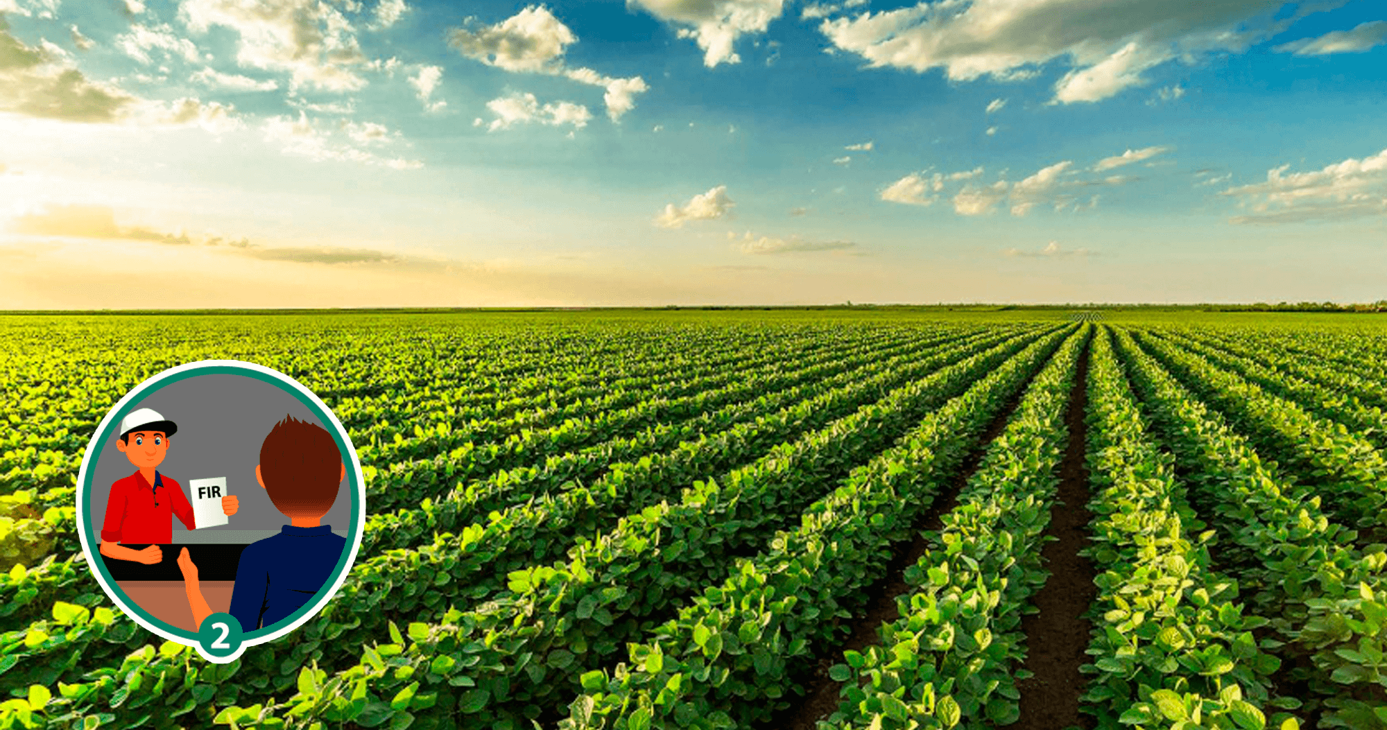 GREEN FIELDS project making a resource out of waste Greenfields