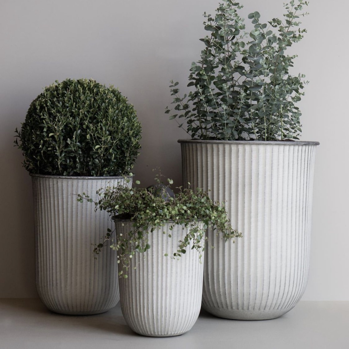 dbkd utekruka Utekruka Dbkd Out Stripe Light Grey – Green Flowers & Pots