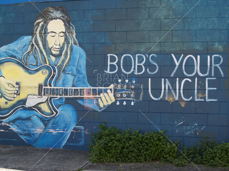 KinkyMoronBob's Your Uncle, Vocabulary
