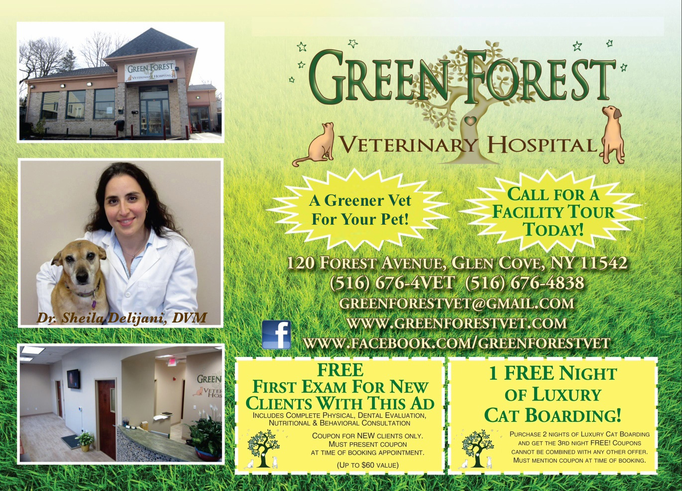 About Green Forest Veterinary Hospital in Glen Cove