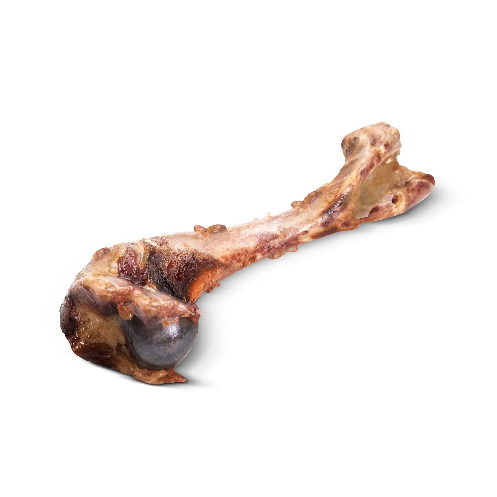 Dehydrated Pig Femur Bone Dog Chew Green Fresh Pets Natural Dog Food