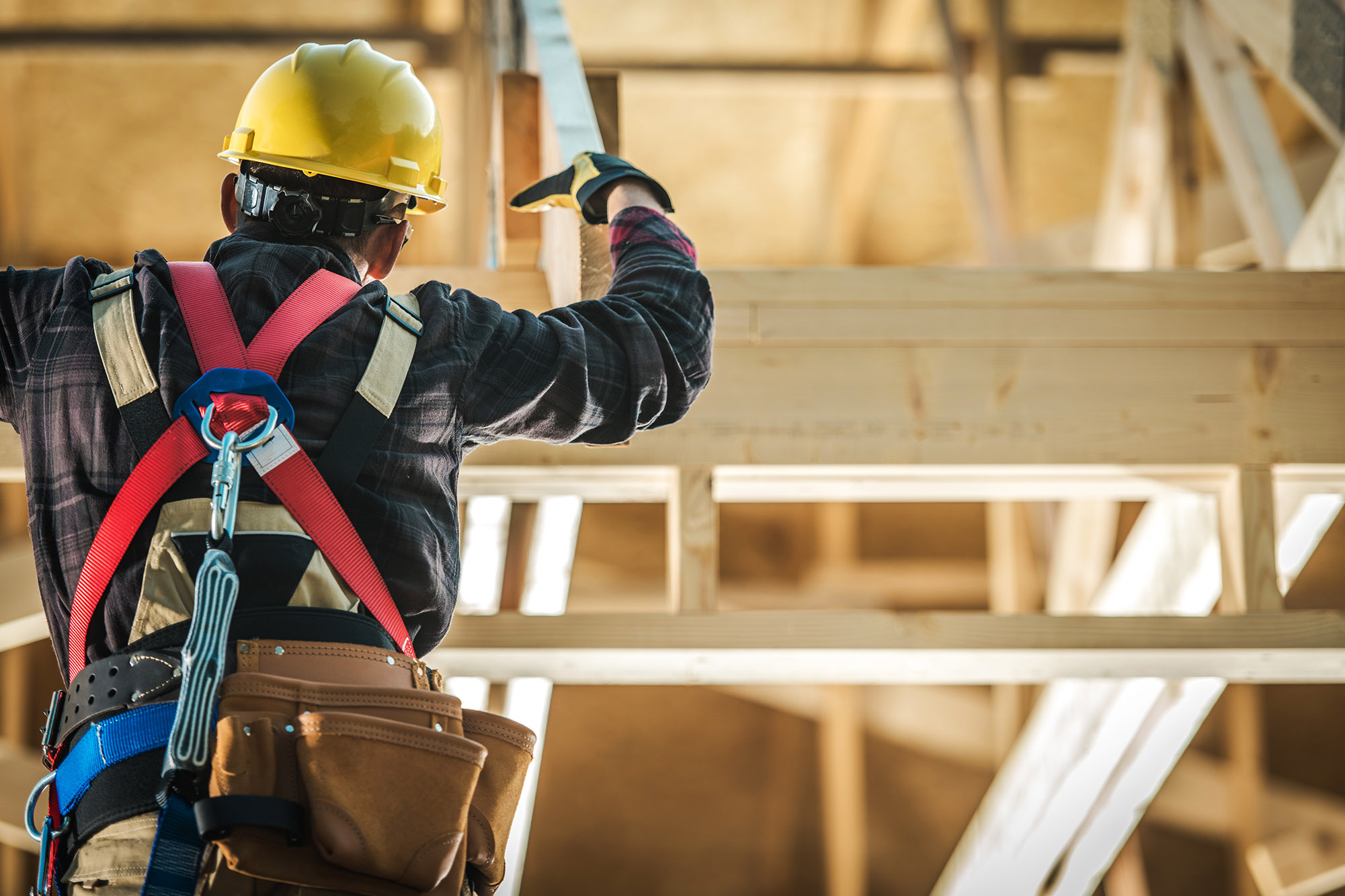 Carpentry and Woodworking Green Generation