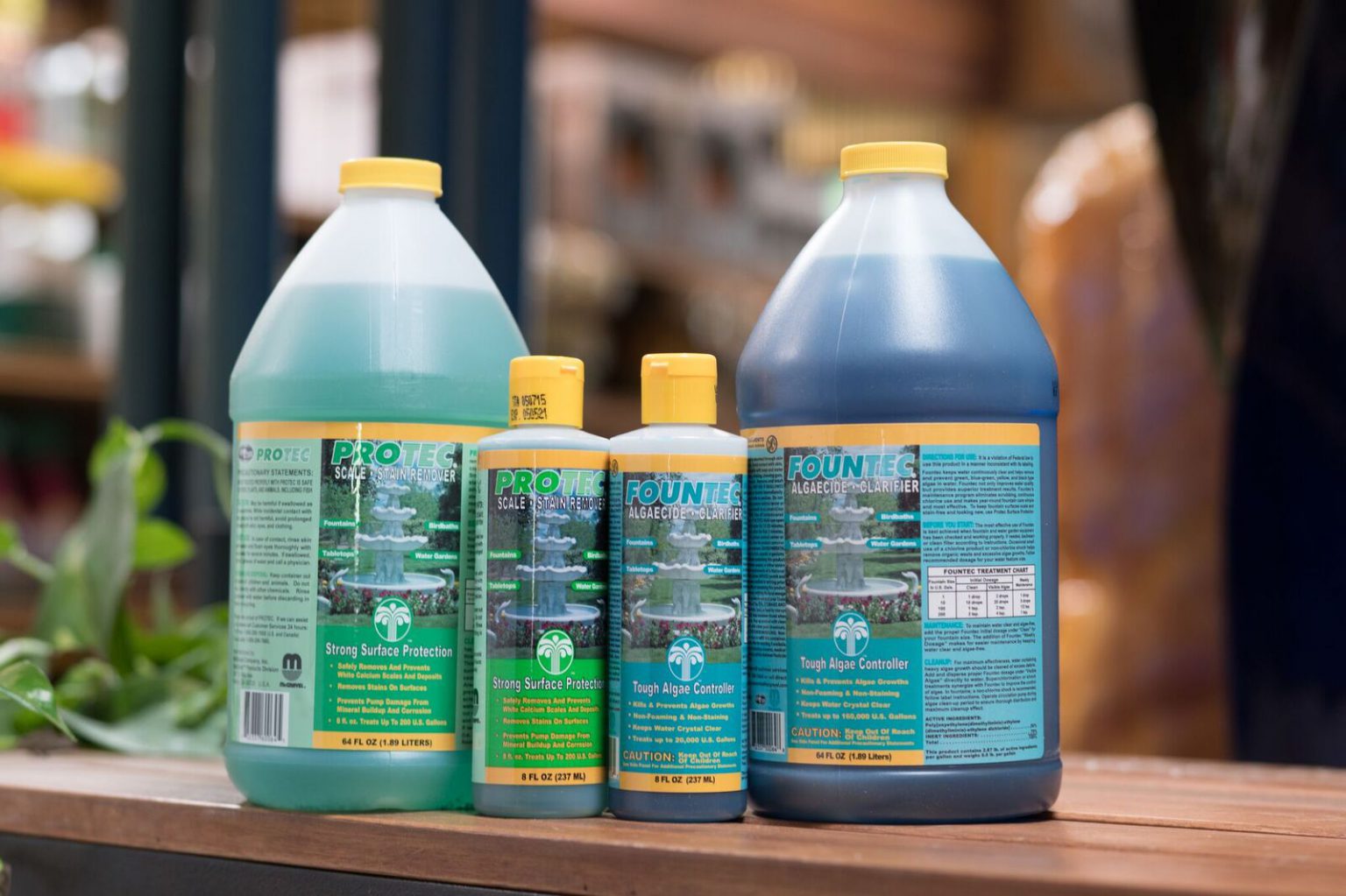 Fountain Cleaning & Maintenance Green Goddess