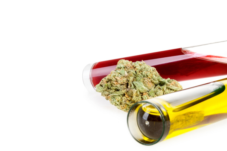 Learn the Facts About Drug Testing for THC May 2019