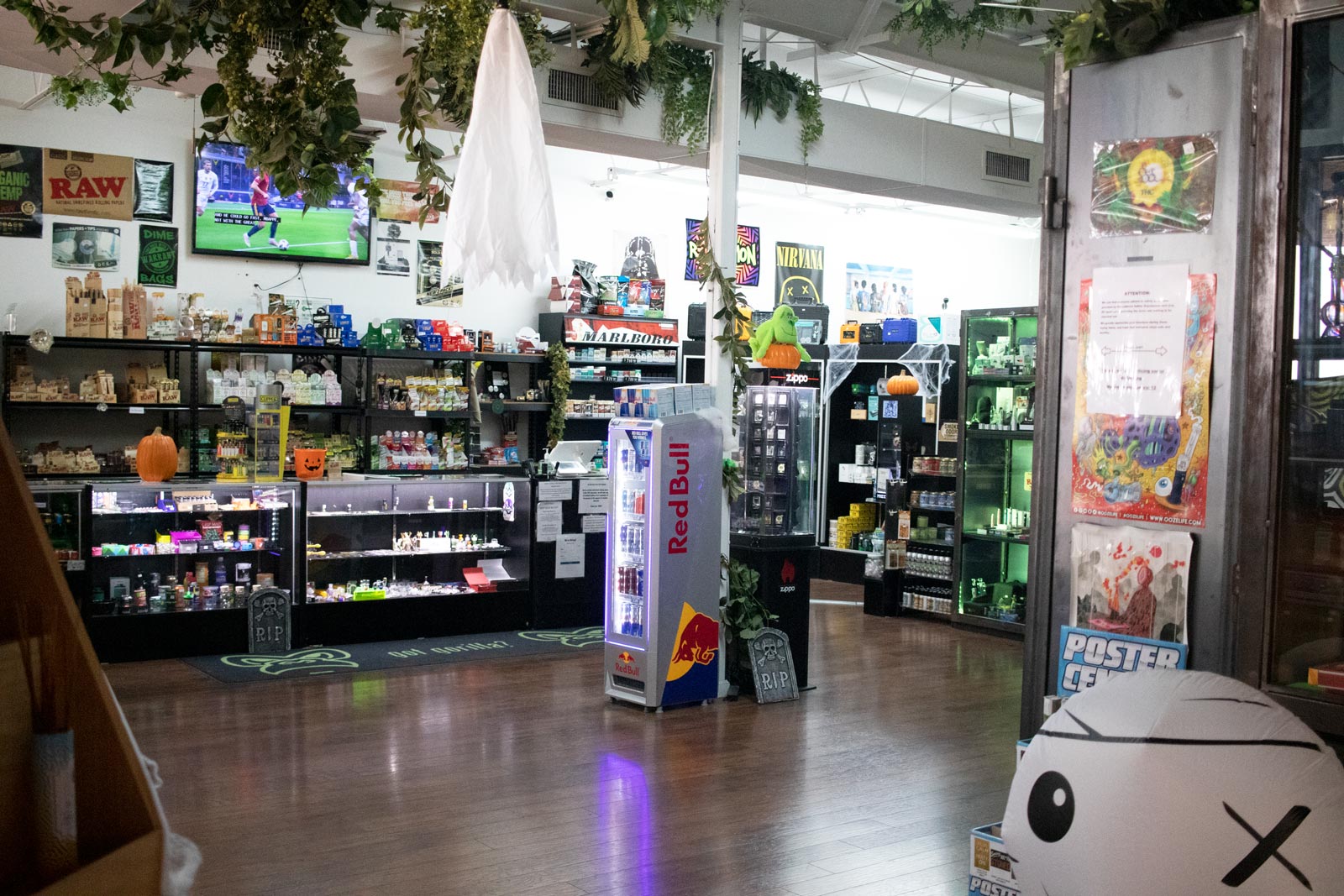 Locations Green Gorilla