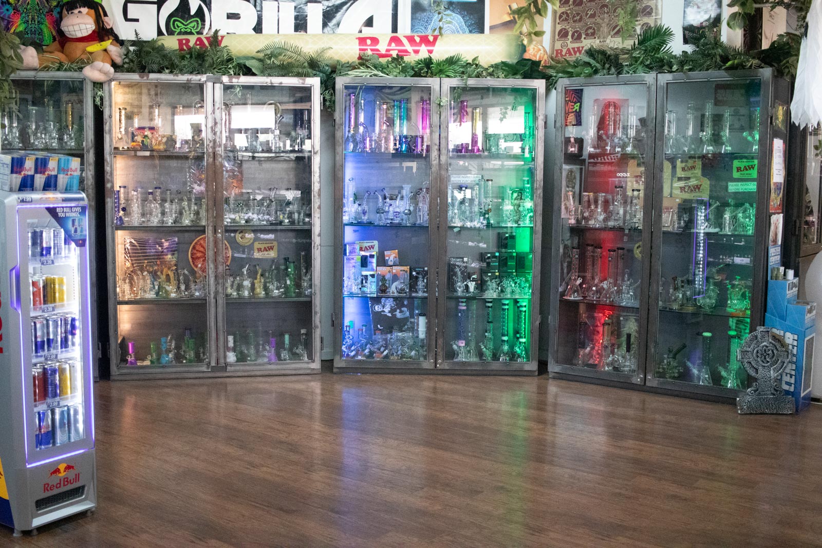 Locations Green Gorilla