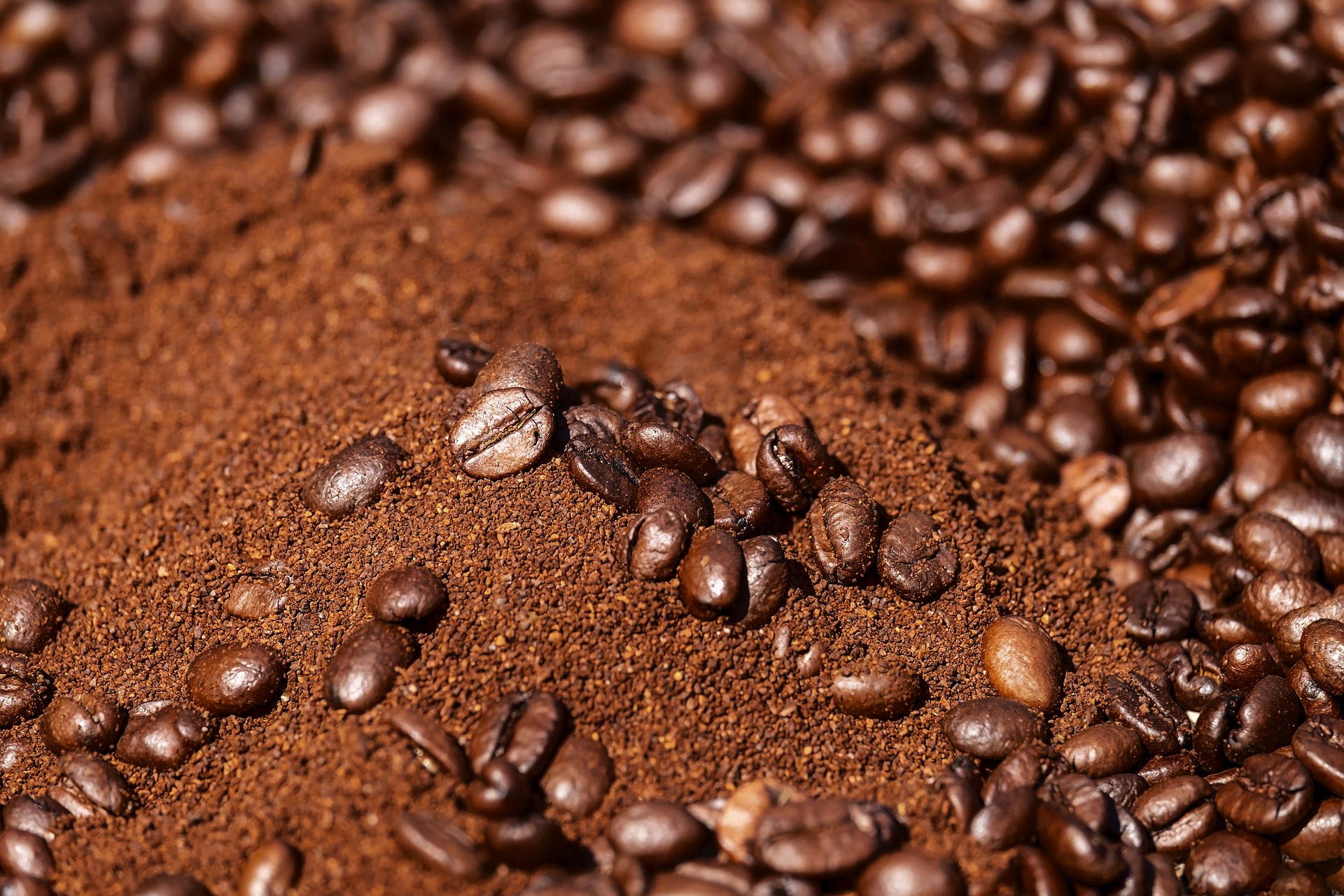 Bizarre Truths Behind Coffee Grounds As Lawn Fertilizer
