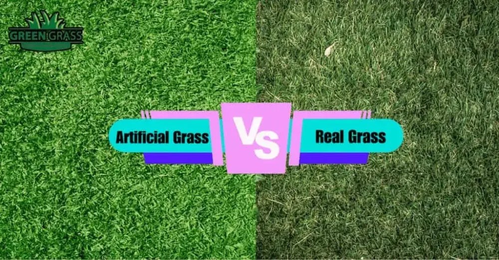 Artificial Grass VS Real Grass Which Should Choose? Green Grass Store