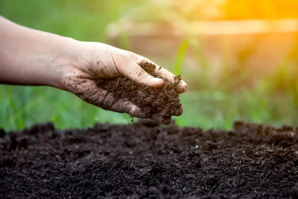 Enhancing Your Soil Green Grounds Landscaping LLC