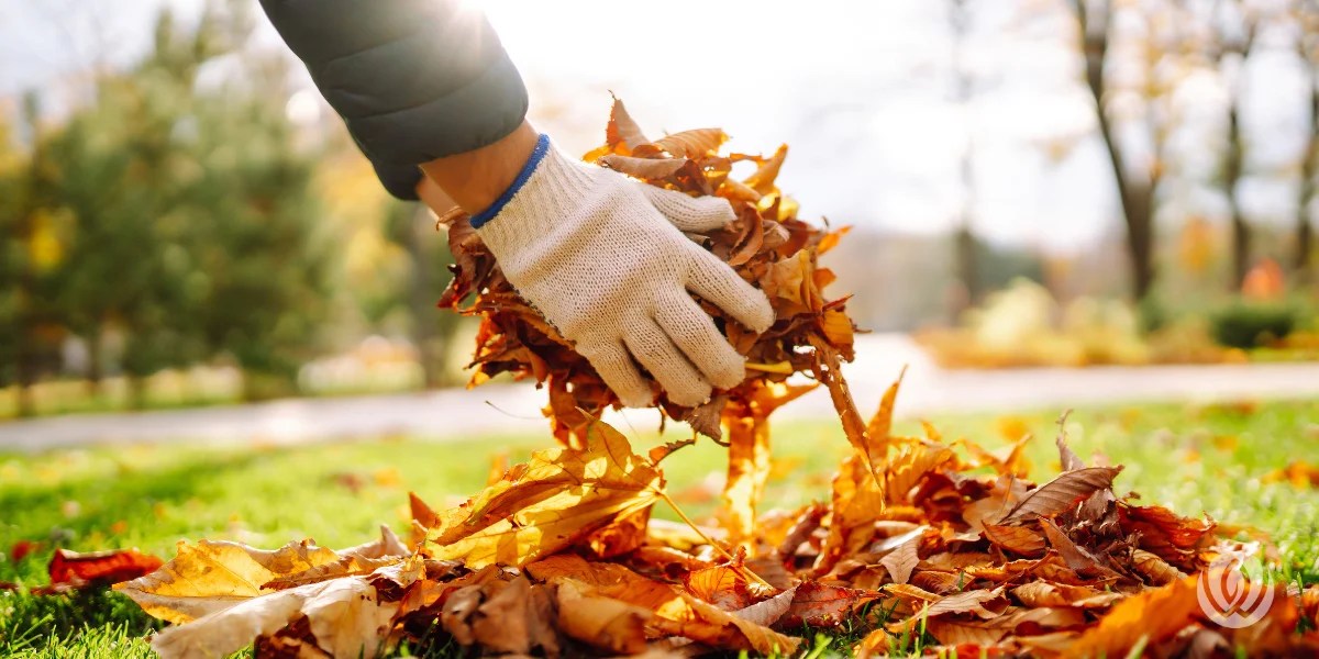 4 Benefits of Hiring Help for Your Fall CleanUp