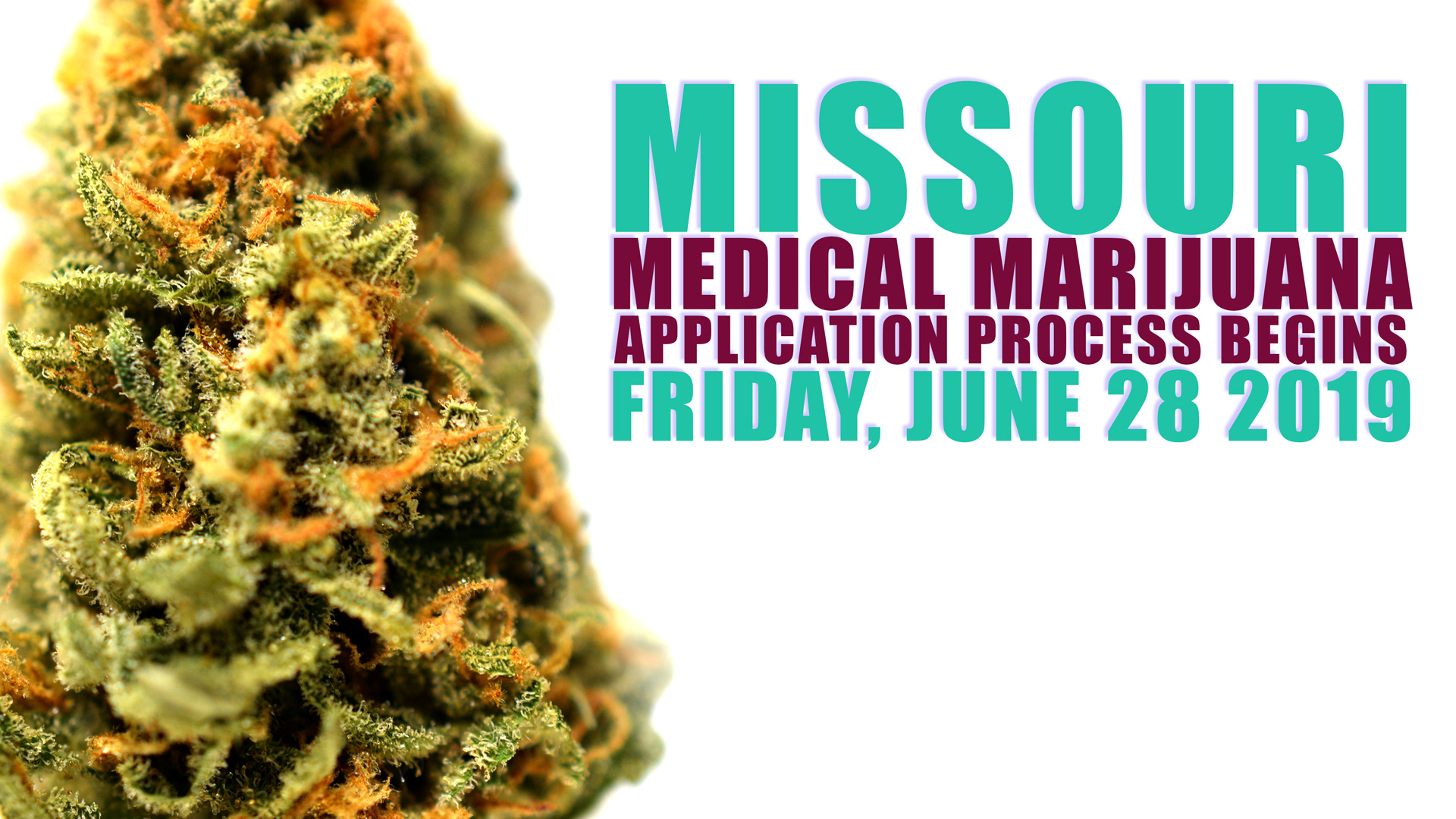 Missouri’s Medical Marijuana Application Process Begins Friday GHD©