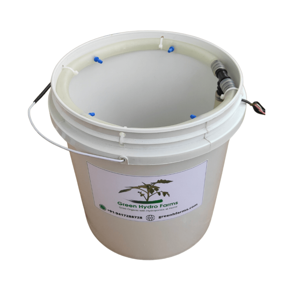 Hydroponics Home Grower Kit 4 Plants Hydroponics Bucket for Leafy and