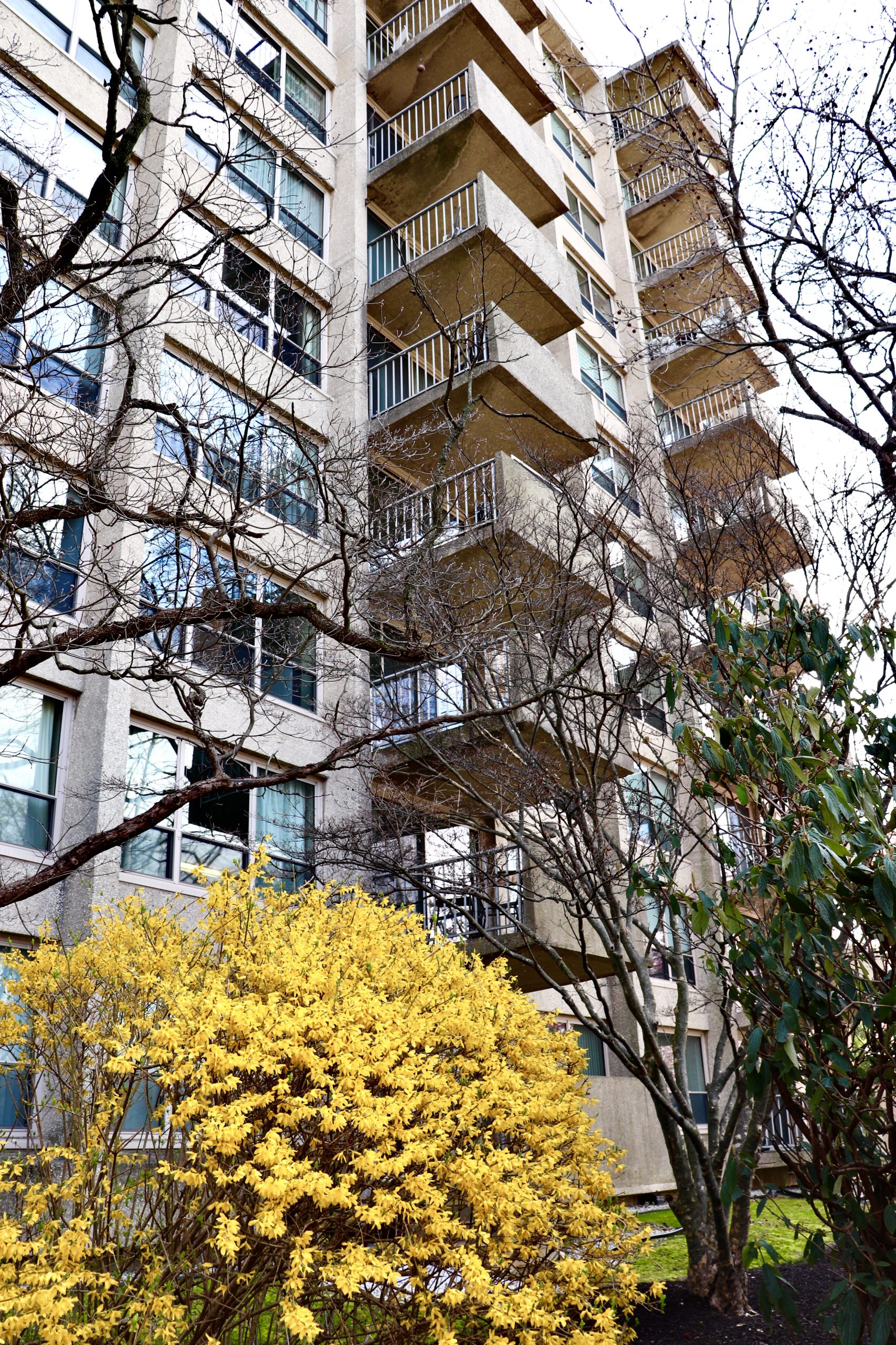 IMG_7818 Green Hill Condominium